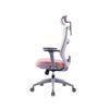 cong_thai_hoc_ergonomic_warrior___hero_series___wec502_pink___gray__2__8b0f474f37544f71863caabdfc3c5748_master