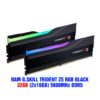 gskill trident z5 rgb 162 2